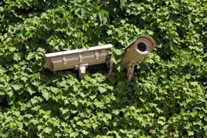 Das Grüne Recht: Videoüberwachung : Urteil des LG Detmold Kameraüberwachung